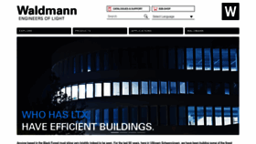 What Waldmann.com website looked like in 2023 (1 year ago)