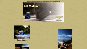 What Williammaloney.com website looked like in 2023 (1 year ago)