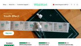 What Wildmintcosmetics.com website looked like in 2023 (1 year ago)