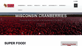 What Wiscran.org website looked like in 2023 (This year)