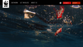 What Worldwildlife.org website looked like in 2023 (2 years ago)