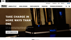 What Wahlpro.com website looked like in 2023 (This year)