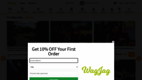 What Wagjag.com website looked like in 2023 (This year)