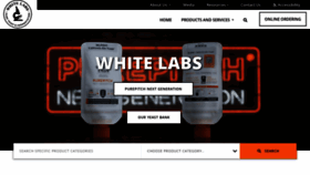 What Whitelabs.com website looked like in 2023 (This year)