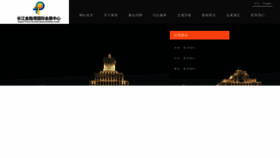 What Wuhan-expo.com website looked like in 2023 (This year)