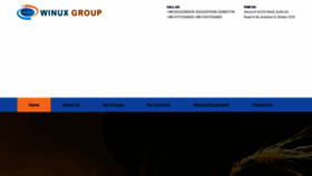 What Winuxgroup.com website looked like in 2023 (This year)