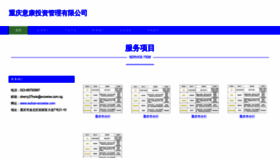 What Wuhan-ecowise.com website looked like in 2023 (This year)