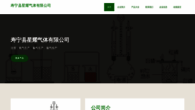 What Weijiuzhuang.com website looked like in 2023 (This year)