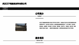 What Wangzisongjc.com website looked like in 2023 (This year)