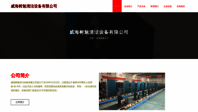 What Whshumei.com website looked like in 2023 (This year)