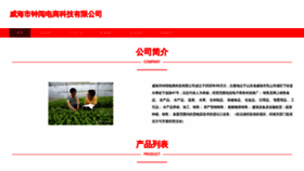 What Whzhongchuang.com website looked like in 2023 (This year)