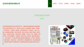 What Wtbapsa.cn website looked like in 2023 (This year)