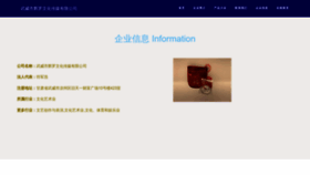What Wuhui666.cn website looked like in 2023 (This year)