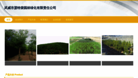 What Wusetpr.cn website looked like in 2023 (This year)