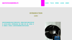 What Wmsqbw.cn website looked like in 2023 (This year)