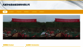 What Wuohaeg.cn website looked like in 2023 (This year)