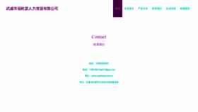 What Wwinfoservice.cn website looked like in 2023 (This year)
