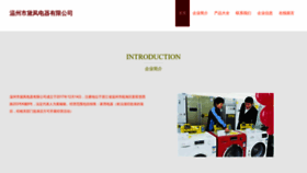 What Wzbdf.cn website looked like in 2023 (This year)