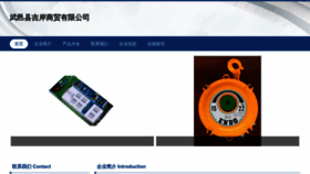 What Wyjian.cn website looked like in 2023 (This year)