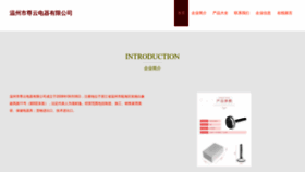 What Wzzun.cn website looked like in 2023 (This year)
