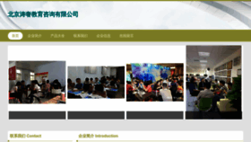 What Wst999.cn website looked like in 2023 (This year)