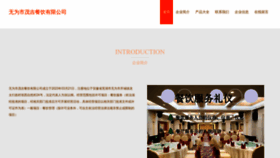 What Wtbmji.cn website looked like in 2023 (This year)