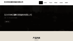 What Wtftswp.cn website looked like in 2023 (This year)