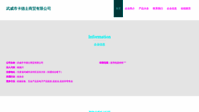 What Wwakdsd.cn website looked like in 2023 (This year)