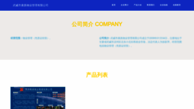 What Wwtzkz.cn website looked like in 2023 (This year)
