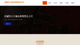 What Wvsihnd.cn website looked like in 2023 (This year)
