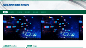 What Wdsspw.cn website looked like in 2023 (This year)