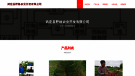 What Wdyezgj.cn website looked like in 2023 (This year)