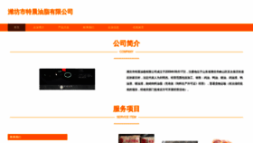 What Wen10tech.cn website looked like in 2023 (This year)
