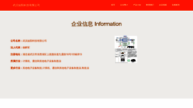 What Wh158.cn website looked like in 2023 (This year)