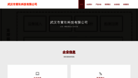 What Wh369.cn website looked like in 2023 (This year)
