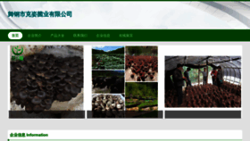 What Wgxkzy.cn website looked like in 2023 (This year)