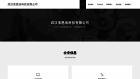 What Wh196.cn website looked like in 2023 (This year)