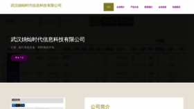 What Wh276.cn website looked like in 2023 (This year)