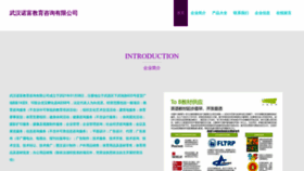 What Whonf.cn website looked like in 2023 (This year)