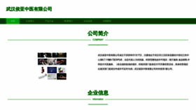 What Who20.cn website looked like in 2023 (This year)