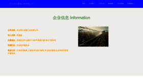 What Whois520.cn website looked like in 2023 (This year)