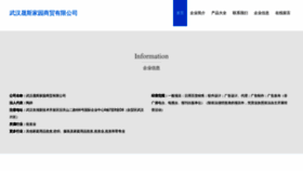 What Whswm.cn website looked like in 2023 (This year)