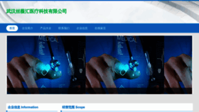 What Whswhw.cn website looked like in 2023 (This year)