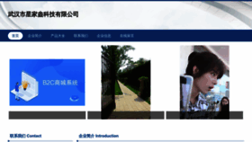 What Whvja.cn website looked like in 2023 (This year)