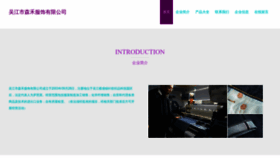 What Wisehn.cn website looked like in 2023 (This year)