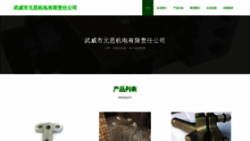 What Wwysld.cn website looked like in 2023 (This year)