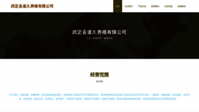 What Wd751.cn website looked like in 2023 (This year)