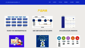 What Whszcw.cn website looked like in 2023 (This year)