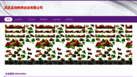 What Wdsgdptj.cn website looked like in 2023 (This year)