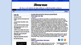 What Weeklysonarbangla.net website looked like in 2023 (This year)
